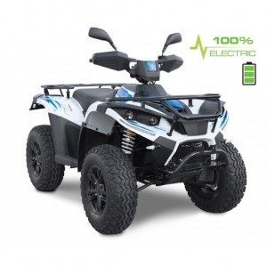 Elektriline ATV / mopeed Linhai LH40DA L6e
