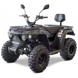 ATV Linhai M210 2x4 EFI T3b