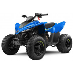 Laste ATV CFMoto CForce 110