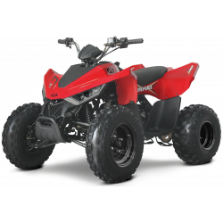 Laste ATV Linhai M110 Junior