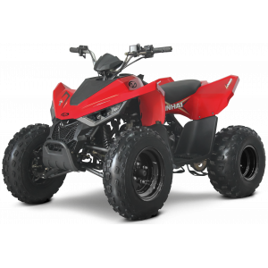 Laste ATV Linhai M110 Junior 2x4