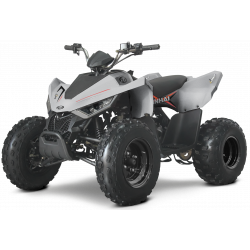 Laste ATV Linhai M110 Junior