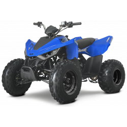 Laste ATV Linhai M110 Junior