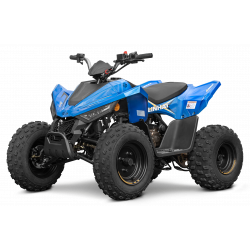 Laste ATV Linhai M110 Junior