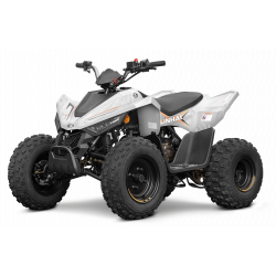 Laste ATV Linhai M110 Junior