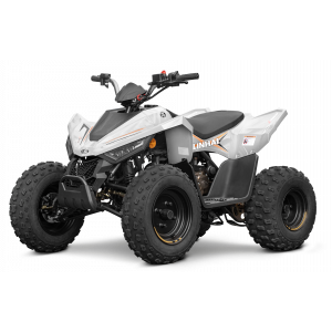 Laste ATV Linhai M110 Junior 2x4
