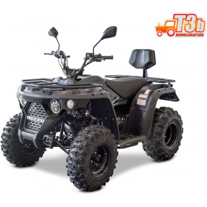 Linhai M210 2x4 EFI T3b