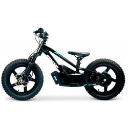 Elektriline tasakaaluratas STACYC 16eDRIVE Elite 36V