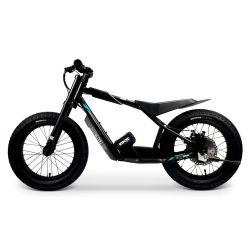 Elektriline tasakaaluratas STACYC 16hDRIVE 250W