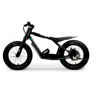 Elektriline tasakaaluratas STACYC 16hDRIVE 250W