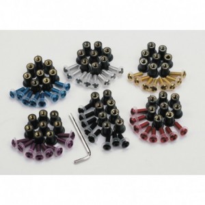 Oxford Screen Screw kit silver