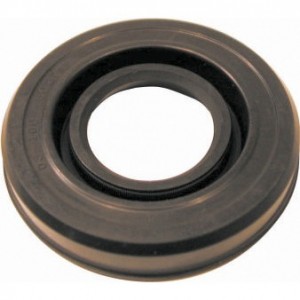 Oil seal