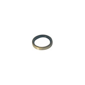 Oil seal