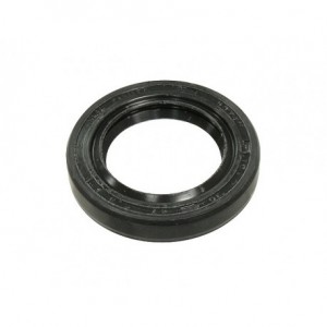 Oil seal