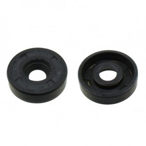 OIL SEAL 10x30x8