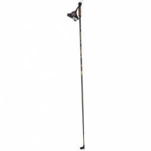 Skigo Racing pole black gold